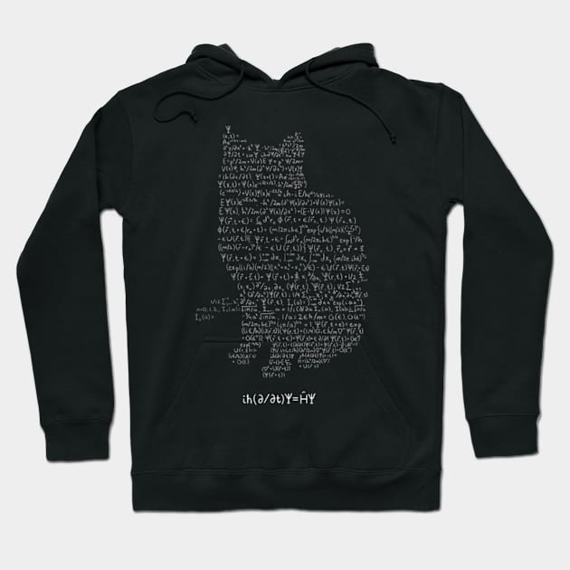 Schrödinger equation shirt - quantum mechanics and cute cat - phisics teacher gift Hoodie by David white